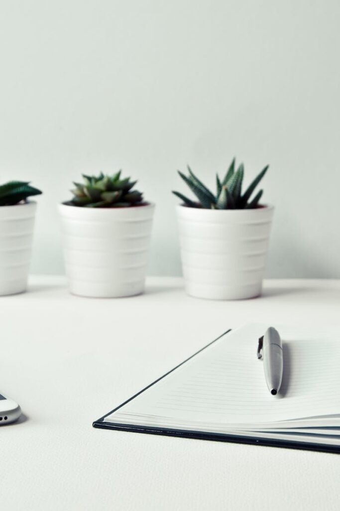 A clean, minimalist workspace featuring a smartphone, open notepad, pen, and potted succulents.